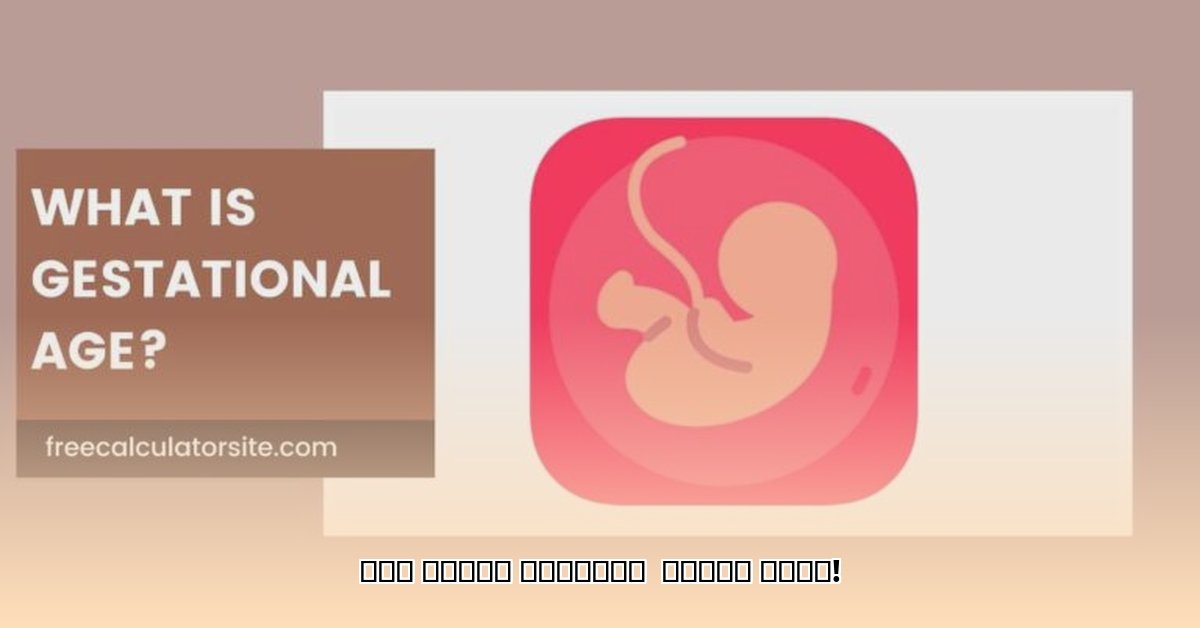 gestational-age-calculator